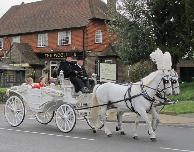 Banstead May Queen 2013