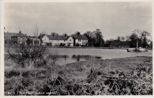 Burgh Heath - The Pond
