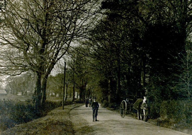 Where is this?