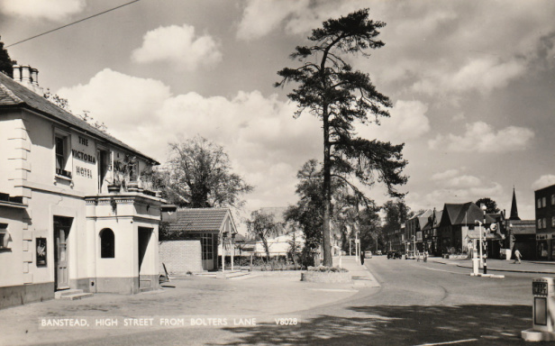 Banstead High Street and a magnificent fir tree