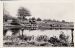 The Mere Pond, Walton on the Hill